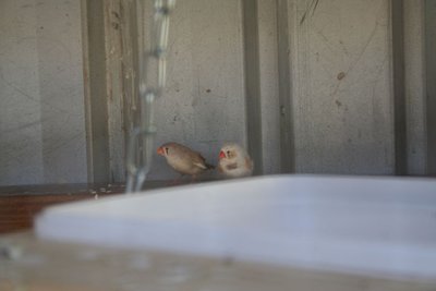 IMG_1262.JPG