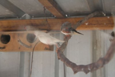 IMG_1267.JPG