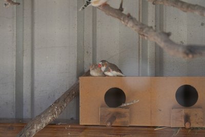 IMG_1271.JPG