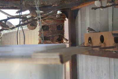 IMG_1274.JPG