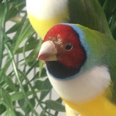 image.jpeg