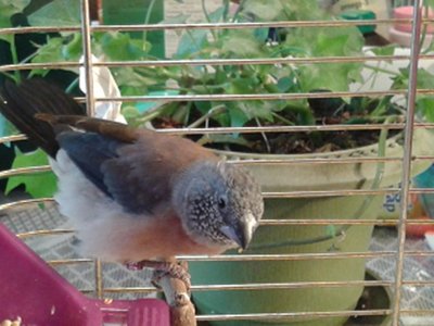 20151115_133243.jpg