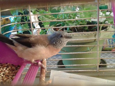 20151115_131945.jpg