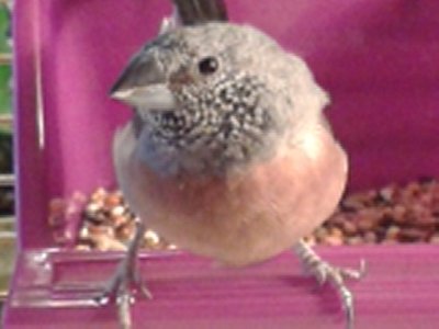 20151115_123833.jpg