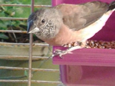 20151115_124034.jpg
