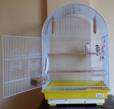 Just to get back to a previous comment. This is their cage and the size of it.