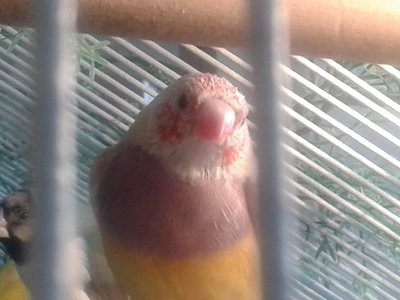 20151121_143226.jpg