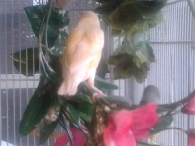 20151121_143427.jpg