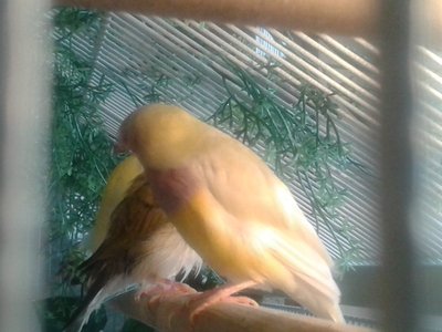 20151121_143303.jpg