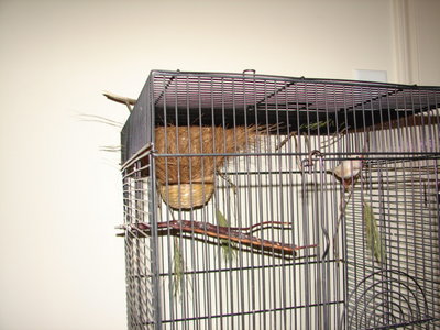 Side view w/male.