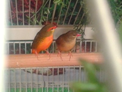 20151015_180045.jpg