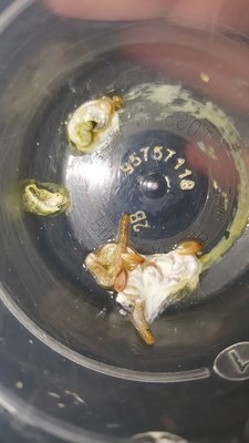 poop4.jpg