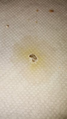 poop5.jpg