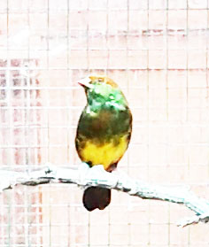Enhanced image.