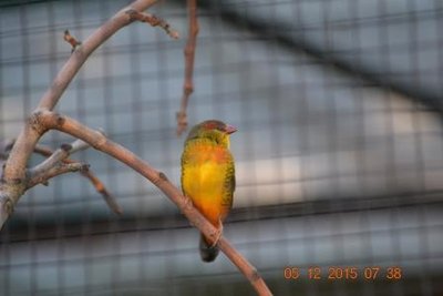 DSC_1805.JPG