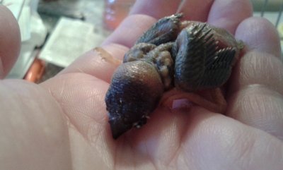 20151207_125830.jpg