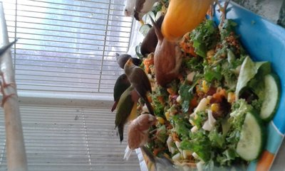 20141031_165837.jpg