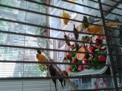 20150713_124915.jpg