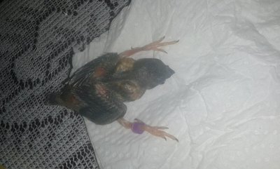 20151211_124837.jpg