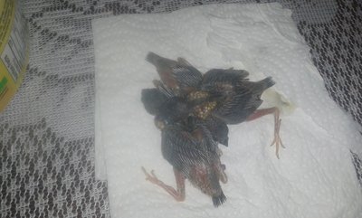 20151211_125759.jpg