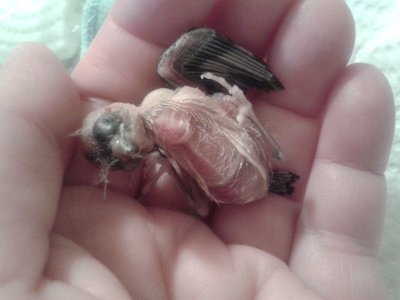 20151221_084056.jpg