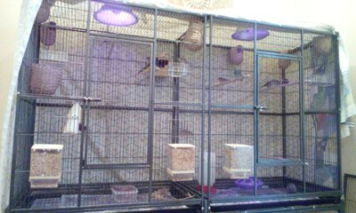 IMG_20151222_112836.jpg
