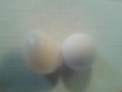 2 Fire eggs, appear to be infertile. One empty, one dried up inside.
