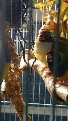 DSC_0914.JPG