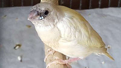 20151229_143327.jpg