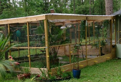 Aviary Resized Pic.jpg
