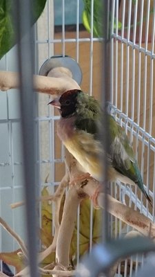 Girl looking rough