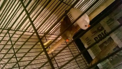WP_20160110_003.jpg