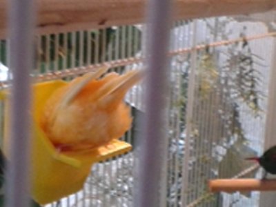 20160115_100444.jpg