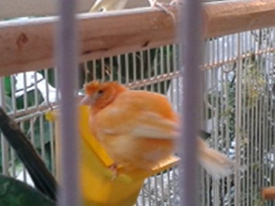 20160115_100457.jpg