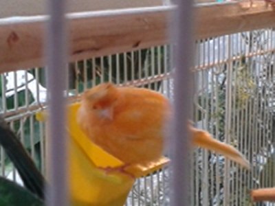 20160115_100506.jpg