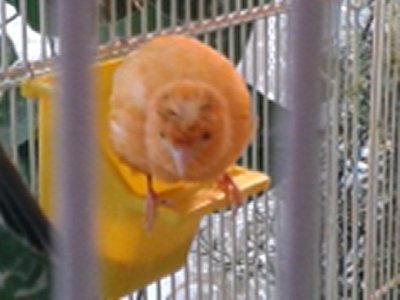 20160115_100516.jpg