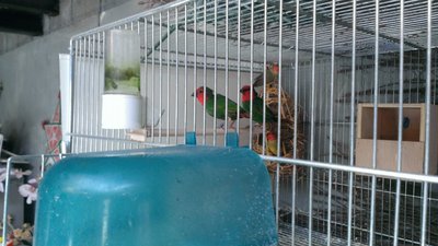 WP_20160116_013.jpg