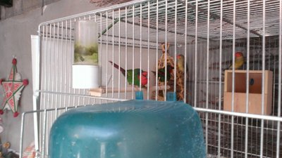 WP_20160116_020.jpg