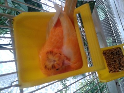 20160116_142621.jpg