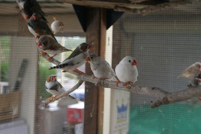 IMG_1330.JPG