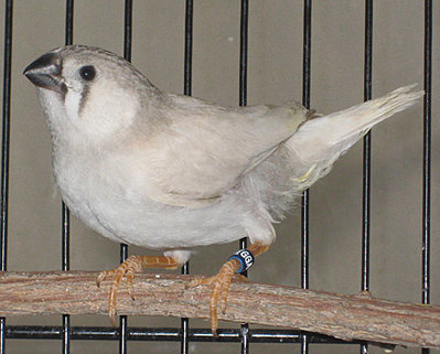March0910a.jpg