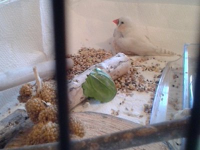 20160124_153054.jpg