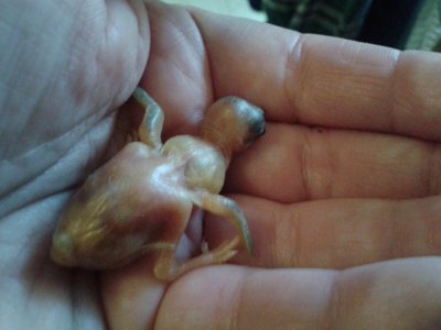 20160125_130249.jpg