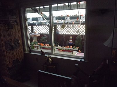 3. View from the dining room copy.jpg