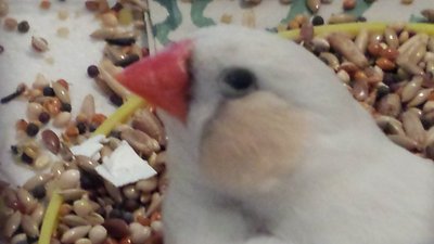 20160207_132813.jpg