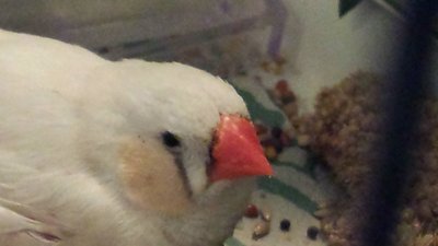 20160207_133239.jpg