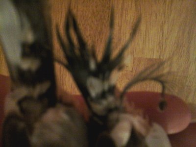 20160208_181223.jpg