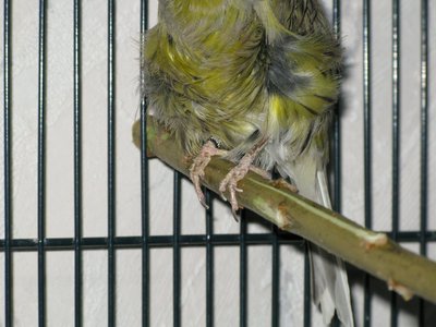 IMG_1798.JPG