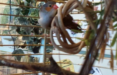 20160209_163005-1.jpg