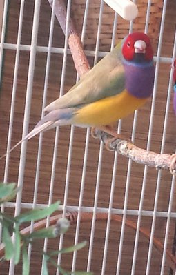 20160209_134443-1.jpg